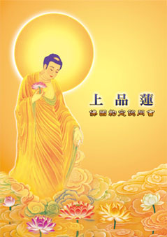上品蓮生前契約